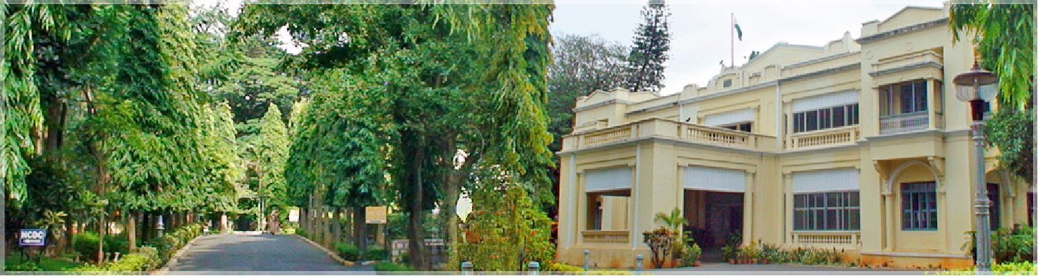 b4.jpg