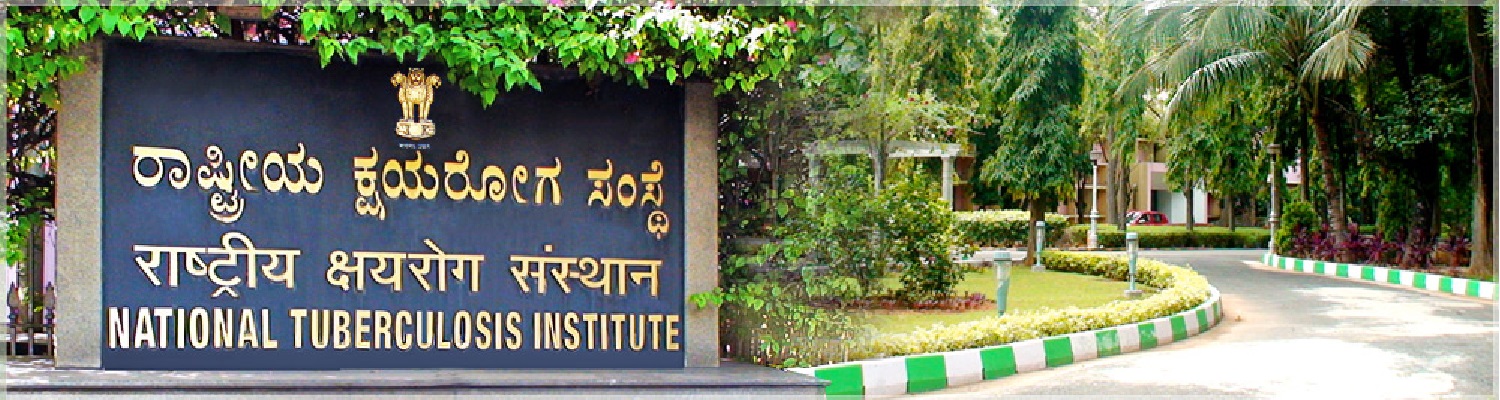 b5.jpg
